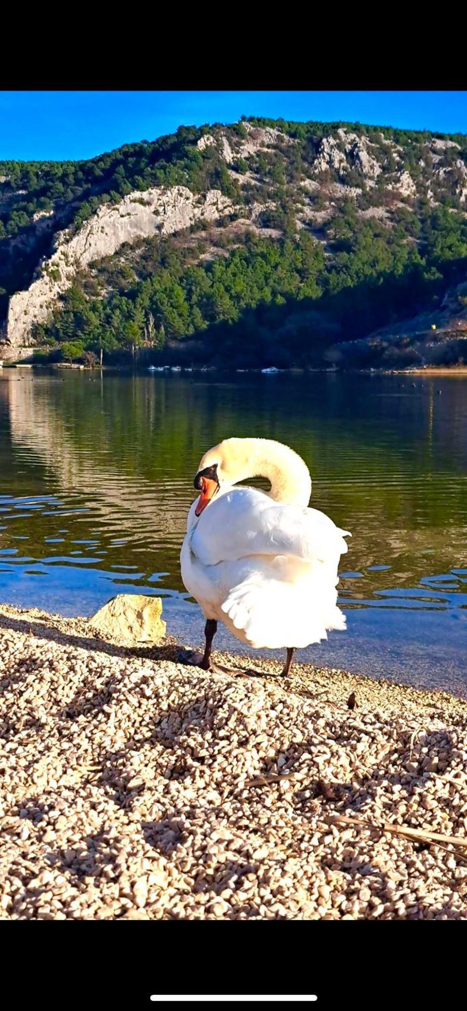 Casa Erceg Amor Vincit Omnia Skradin Luaran gambar